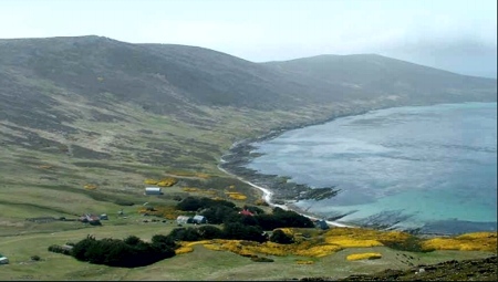 Falkland Islands - Carcass Island